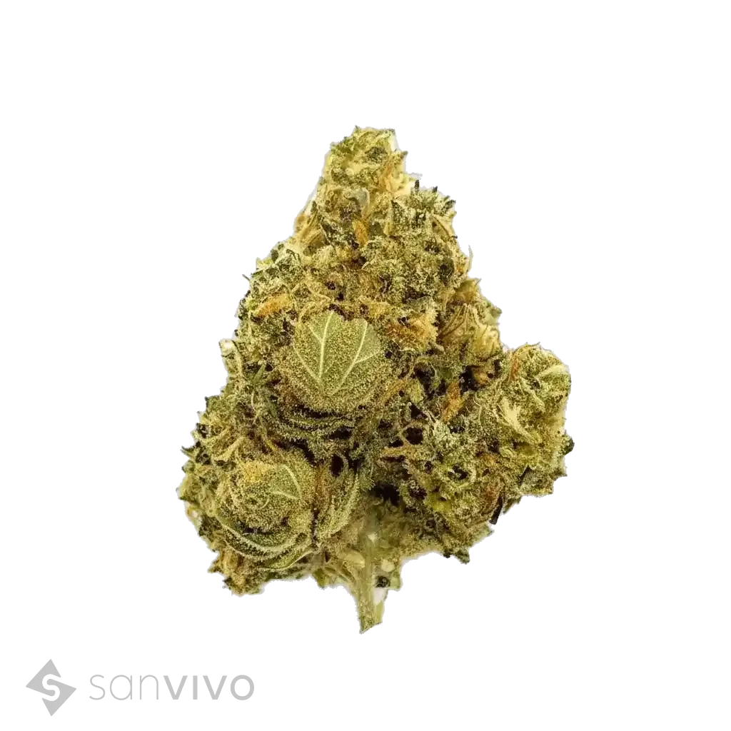 Cannabisprodukt Bedrocan Cannabis Flos 22/1