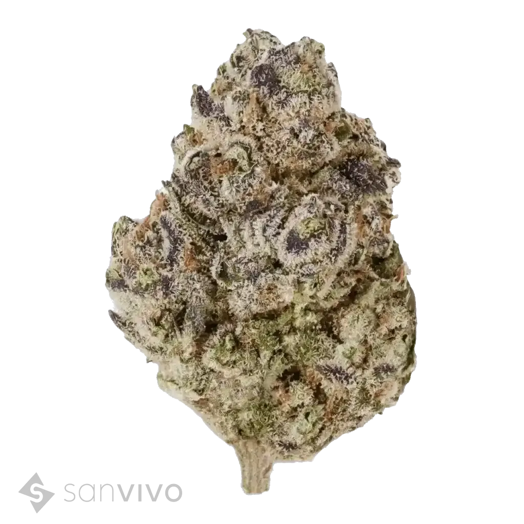 Cannabisprodukt enua 22/1 PS3 BCP CA Black Cherry Punch