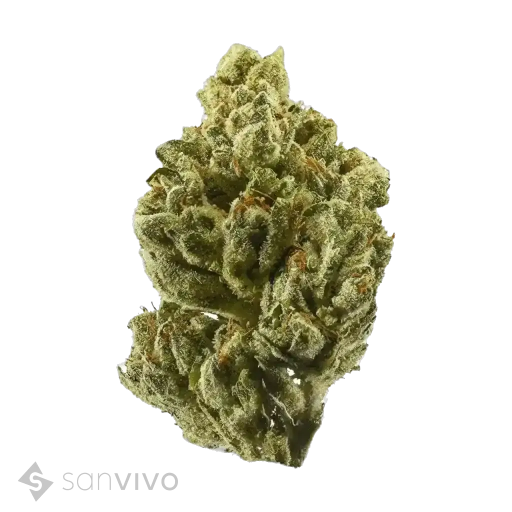 Cannabisprodukt CM 24/1 OGKush
