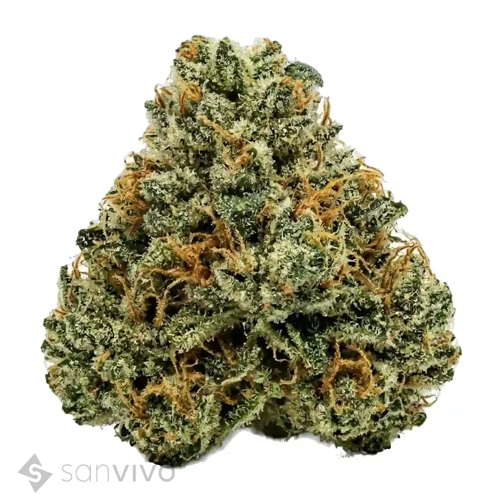 Cannabisprodukt Nimbus easy 22/1 La Sage