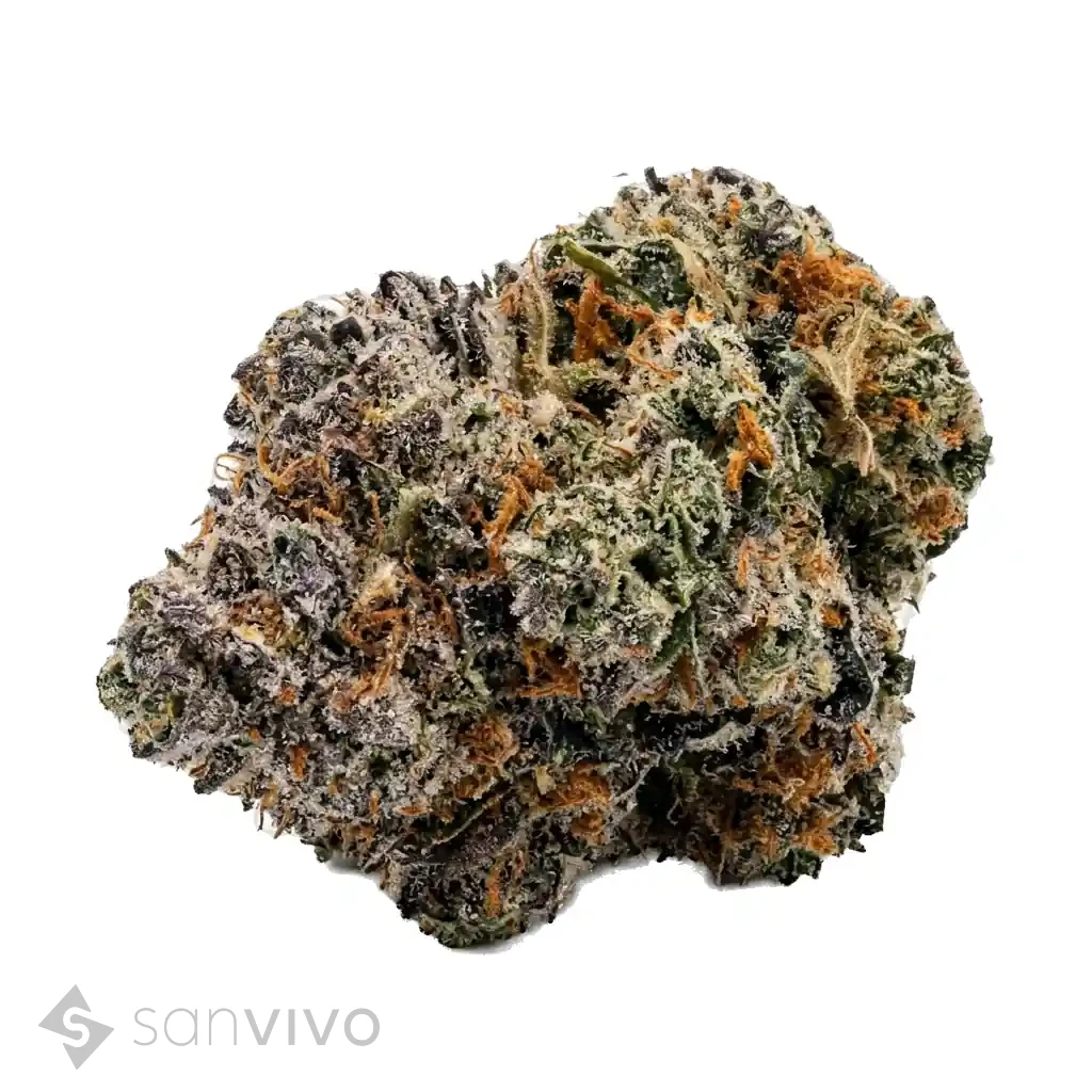 Cannabisprodukt Luana 20/1 GSC