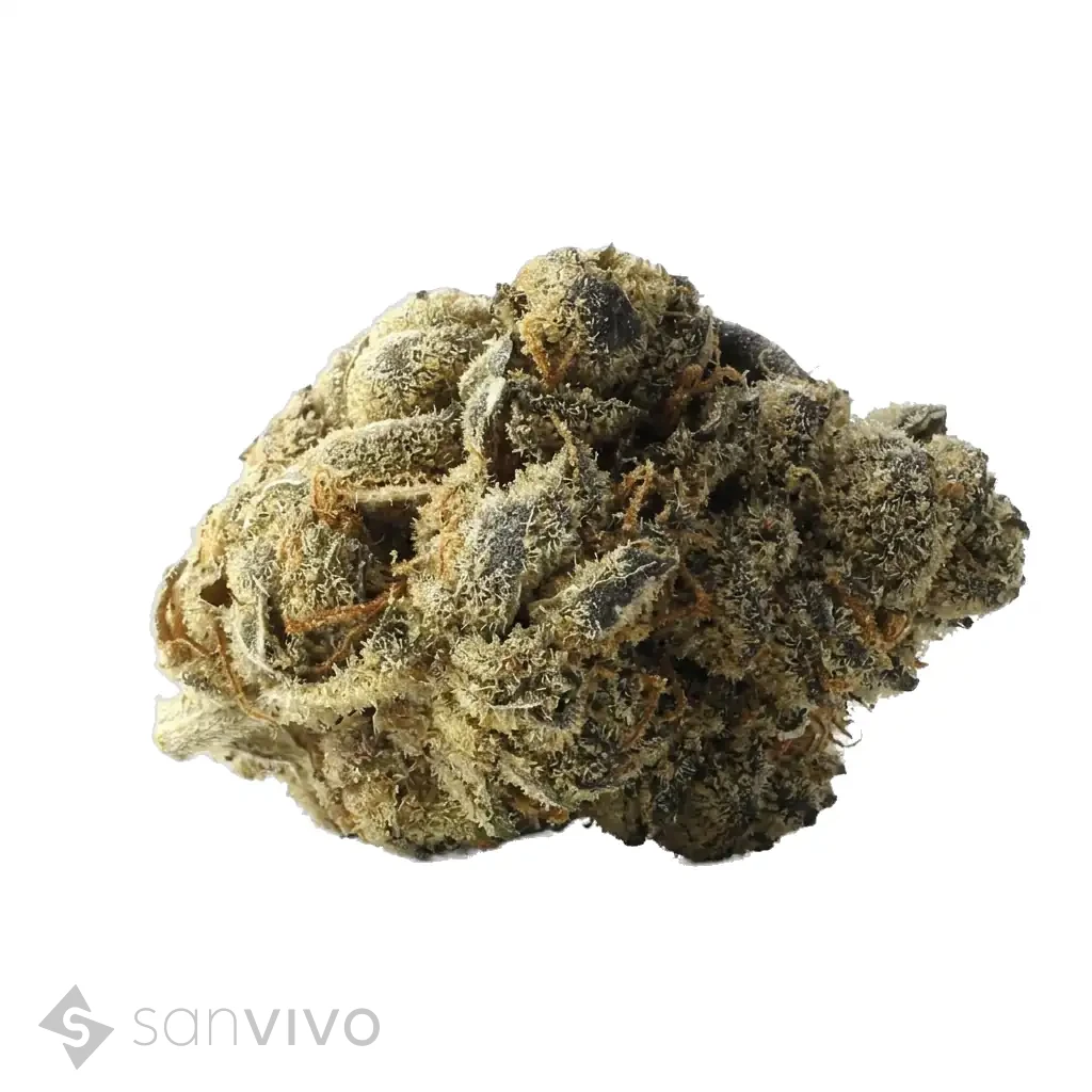 Cannabisprodukt WEECO 26/1 BPD