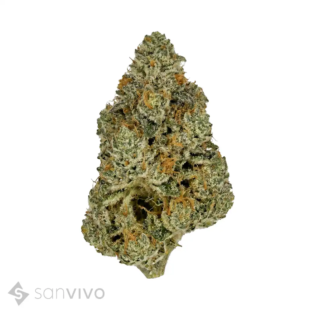 Cannabisprodukt Weeco LMC 33/1 DK Lemoncello