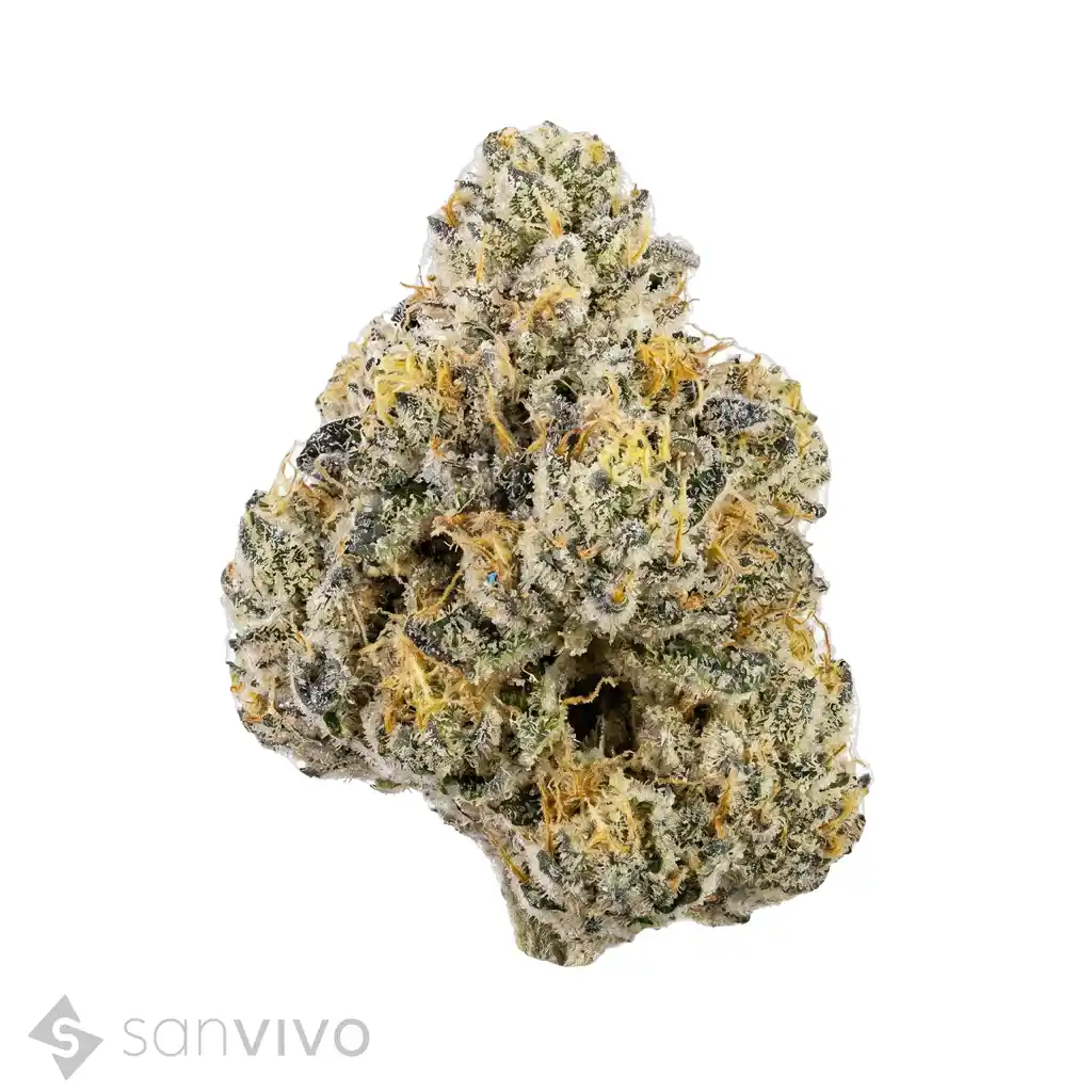 Cannabisprodukt Daily Special 21/1 WED