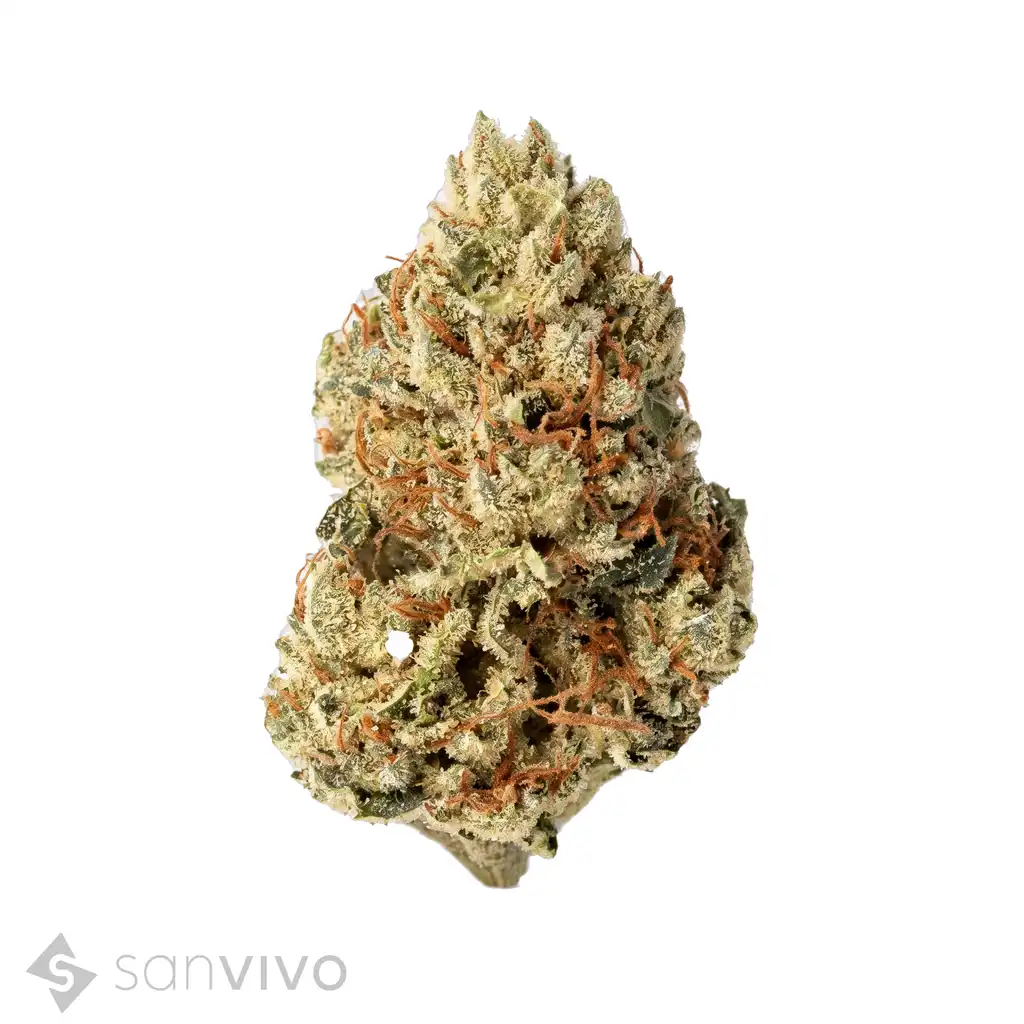 Cannabisprodukt Cannabis 14/1 CL