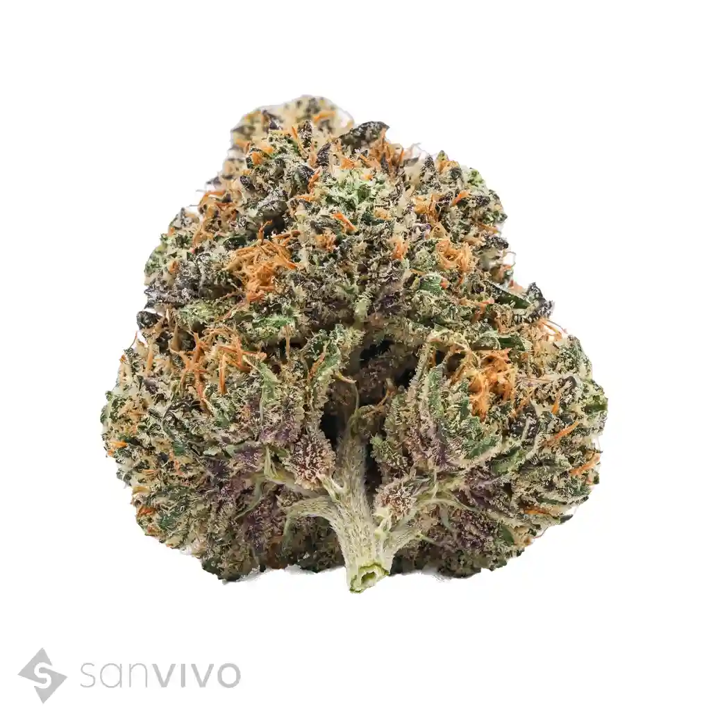 Cannabisprodukt Cannabis flos 14/1 CL