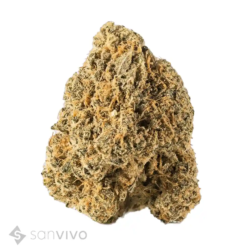 Cannabisprodukt Cannamedical CM 32/1 SRK Sour Kush