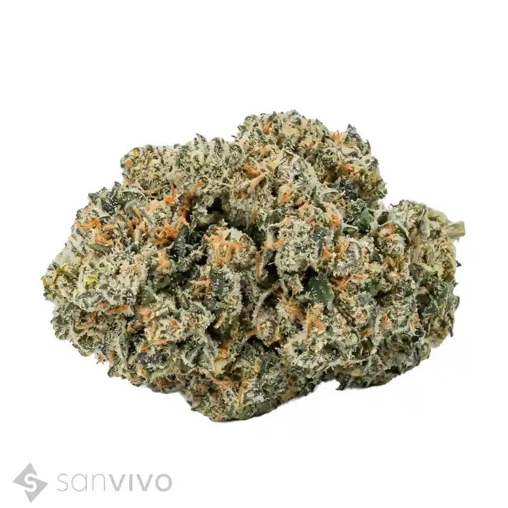 Cannabisprodukt Cannamedical Sativa Forte SA Jack Herer